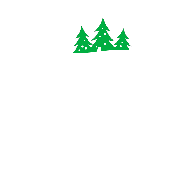 Christmas Stockings Ireland logo